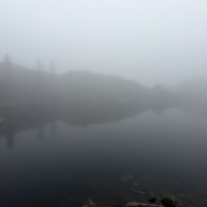 IMG_8946.jpeg