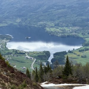 IMG_8964.jpeg