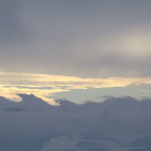 IMG_1225_20231205_1.jpg