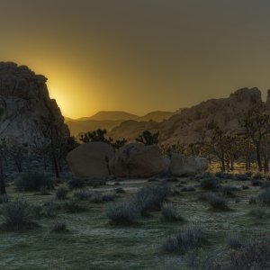 A7405620-Shared.jpg