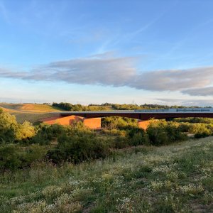 IMG_0522.jpeg