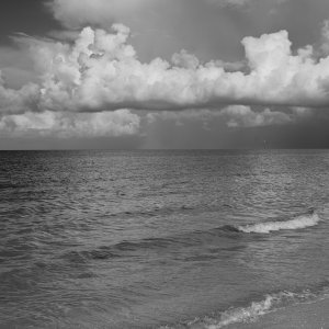 DSC_0266.jpeg