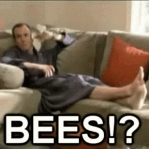 1785342242525.png