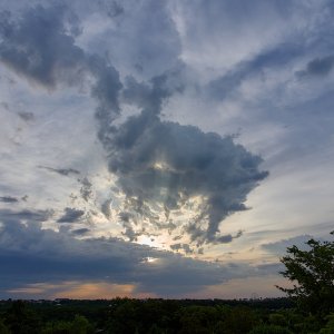P7280717.jpg