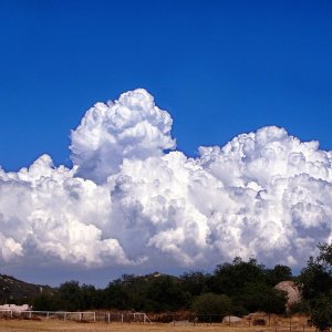 thunderhead at ranch 8.05.22 x2crop_edited.jpeg