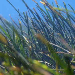 Screenshot_20260803-181506.png