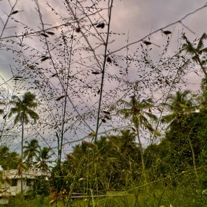 IMG_7898.jpeg