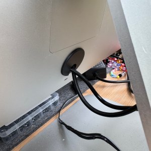IMG_0253.jpeg