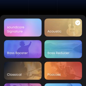 Soundcore_app_iOS_EQ-preset_acoustic.jpg