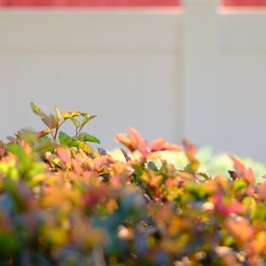 DSCF1044_2.jpg
