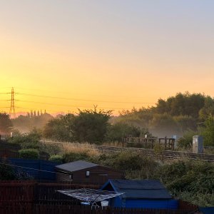 IMG_1518.jpeg