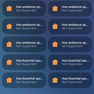 IMG_0997.jpeg