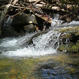 DSC_0499.jpg