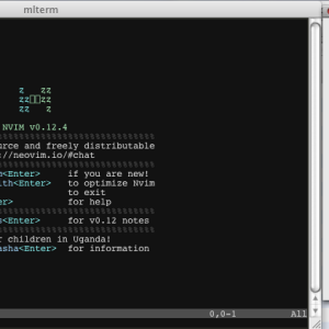 neovim.png