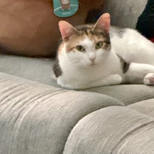 IMG_0647.jpeg