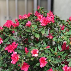 IMG_3659.jpeg