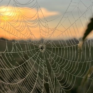 IMG_1818.jpeg