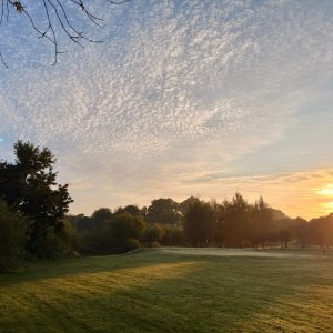 IMG_1802.jpeg