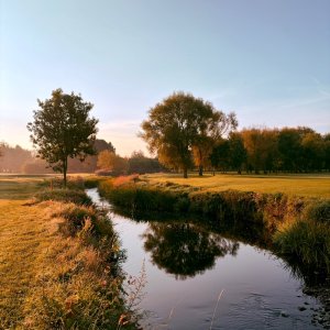 IMG_1822.jpeg