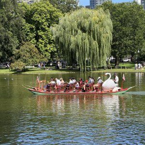 IMG_4011.JPG