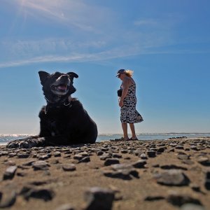 Challenging Perspective by Drone.JPG