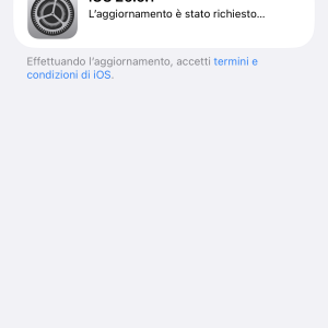 IMG_1534.png