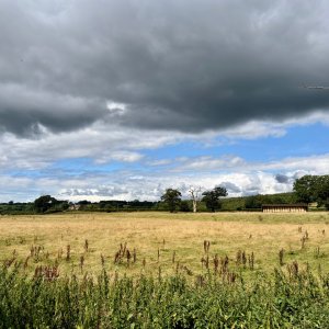 IMG_2204.jpeg