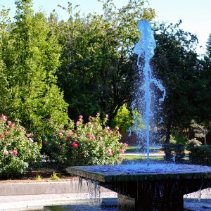 DSCF1080.jpg