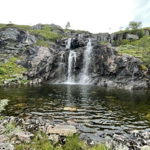 IMG_5147.jpeg