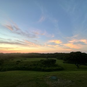 IMG_6548.jpeg