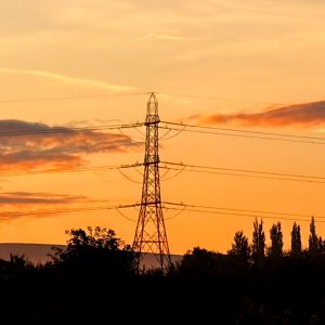 IMG_2235.jpeg