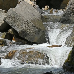 DSC_0512.jpg