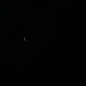 IMG_5660.jpeg