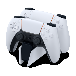 PS5DSDOCKW.png