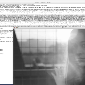 Picture 3.png