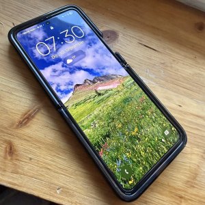 IMG_3293.jpeg