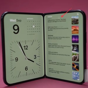 duo4.jpg