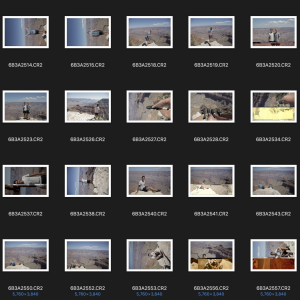 Screenshot 2019-11-28 at 12.50.56.png