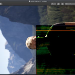 Screenshot 2019-11-28 at 12.50.06.png