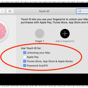 Screen Shot 2019-12-02 at 4.44.11 AM.png