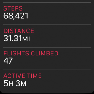 steps.PNG