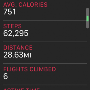 STEPS.PNG