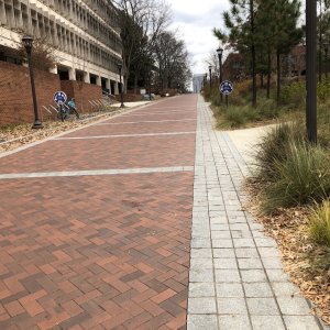 IMG_2762 (1).jpeg