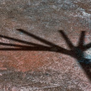 Shadowplay Too Variation.jpeg