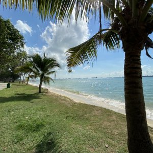 IMG_0803.JPG