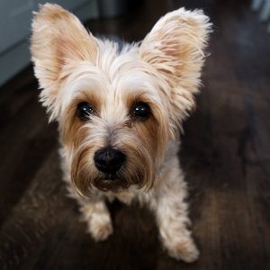 Mia-01.jpg