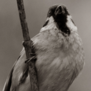 9502122E-59E7-4ADA-BB9E-C9DB736DEAAB.png