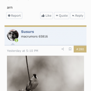 038B92AF-F818-4CD7-AE1A-272D5185AC13.png