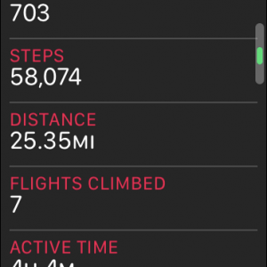steps.PNG