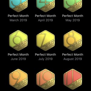 Perfect Months 2019.jpg